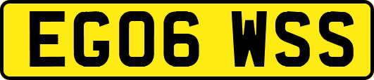 EG06WSS
