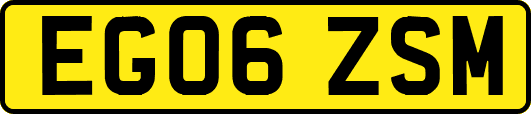EG06ZSM