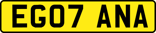 EG07ANA