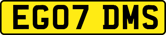 EG07DMS
