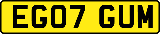 EG07GUM