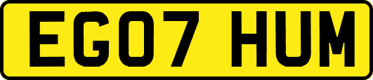 EG07HUM