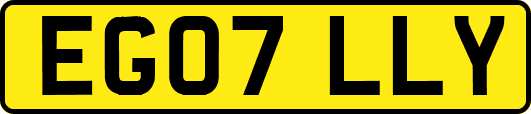 EG07LLY