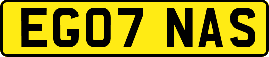EG07NAS