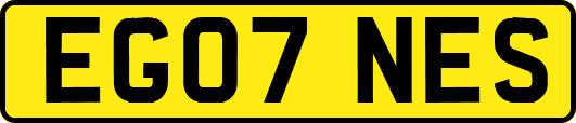 EG07NES