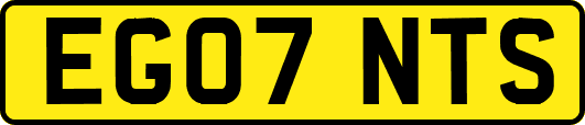 EG07NTS