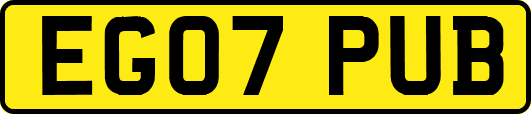 EG07PUB