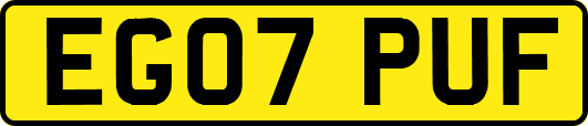 EG07PUF