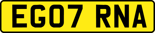 EG07RNA