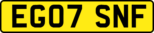 EG07SNF