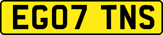 EG07TNS