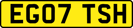 EG07TSH