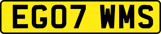 EG07WMS
