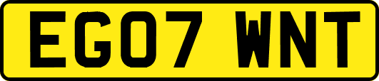 EG07WNT