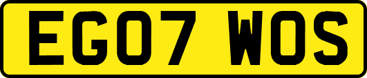 EG07WOS