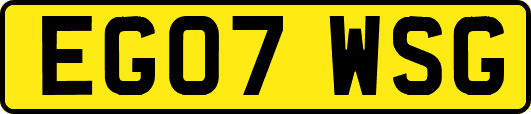 EG07WSG
