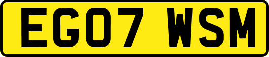 EG07WSM