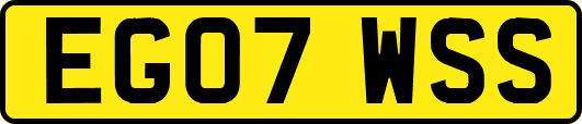EG07WSS