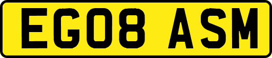 EG08ASM