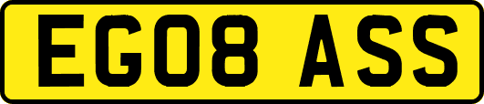 EG08ASS