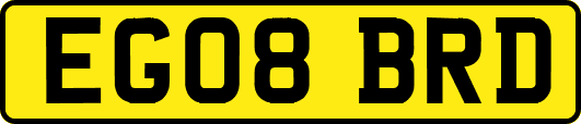 EG08BRD