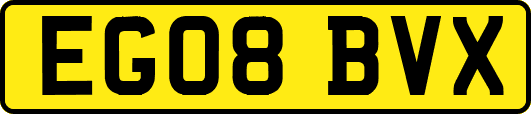 EG08BVX
