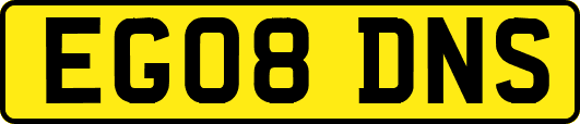EG08DNS