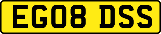 EG08DSS
