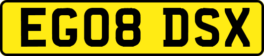 EG08DSX