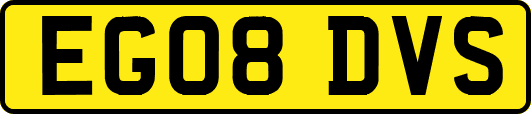 EG08DVS