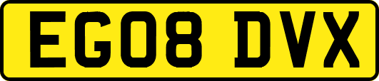 EG08DVX