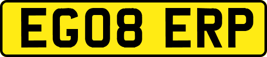 EG08ERP