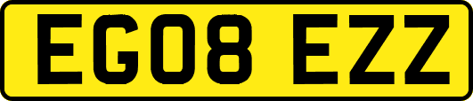 EG08EZZ