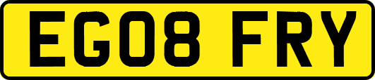 EG08FRY