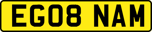 EG08NAM