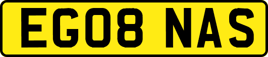 EG08NAS