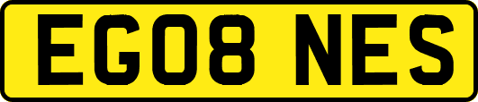 EG08NES