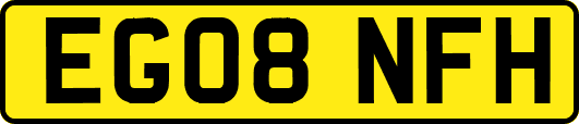 EG08NFH