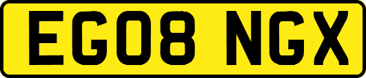 EG08NGX
