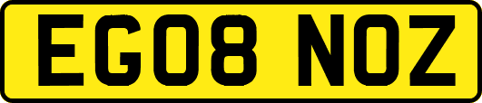 EG08NOZ