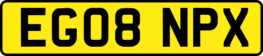 EG08NPX