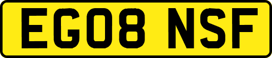 EG08NSF