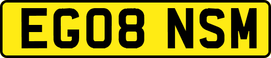 EG08NSM