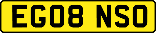 EG08NSO