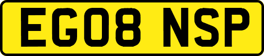EG08NSP