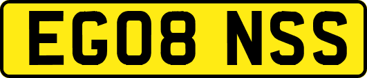 EG08NSS
