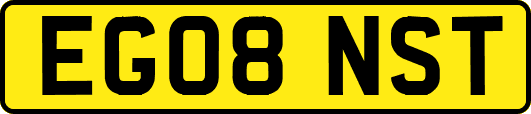 EG08NST
