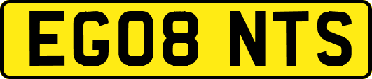 EG08NTS