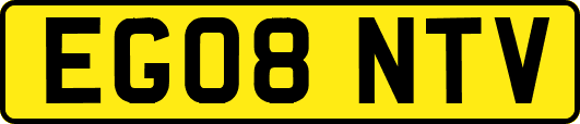 EG08NTV