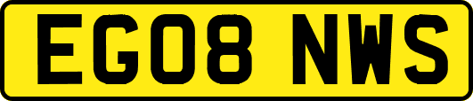 EG08NWS